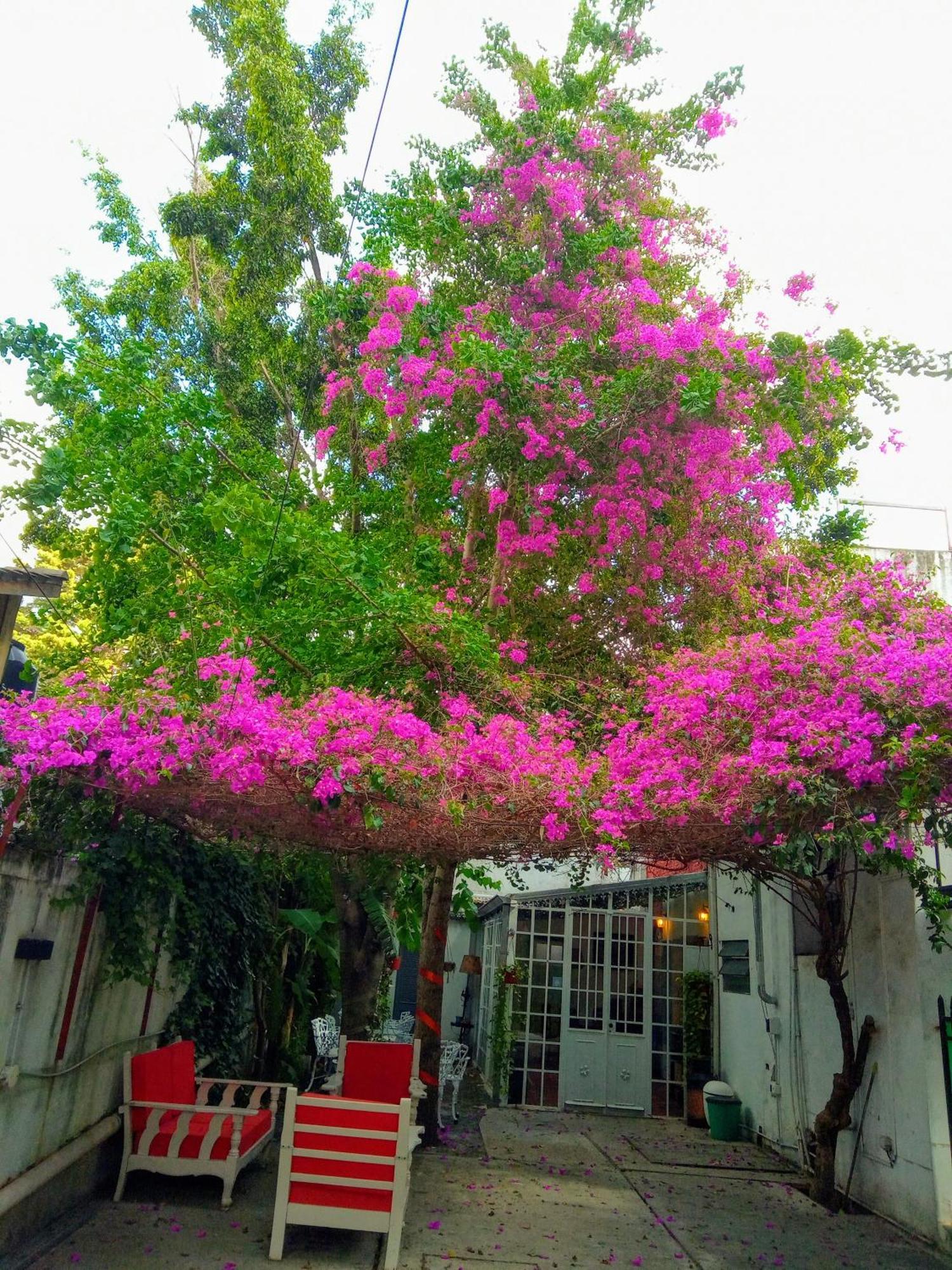 Hotel Boutique Casablanca Adrogue المظهر الخارجي الصورة